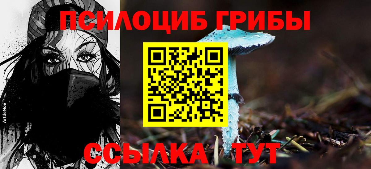 Гай  Галлюциногенные грибы GOLDEN TEACHER  Вход с VPN 